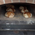 Brötchen frisch gebacken im Backfach eines Gartenofens